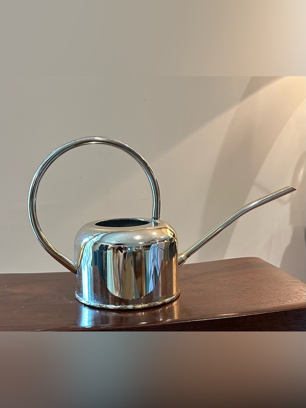Metal watering can • vintage • well loved with a lot of life left